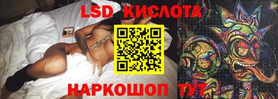 шишки Ставрополь