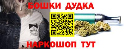 шишки Ставрополь