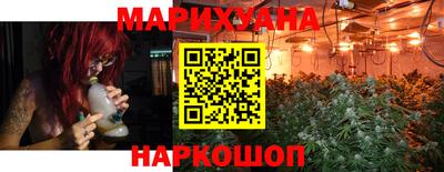 шишки Ставрополь