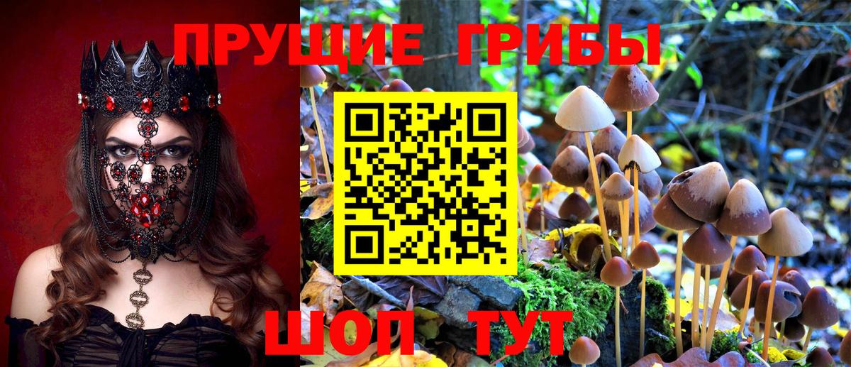 Новороссийск  Псилоцибиновые грибы мицелий  Галлюциногенные грибы прущие грибы  Вход с VPN 